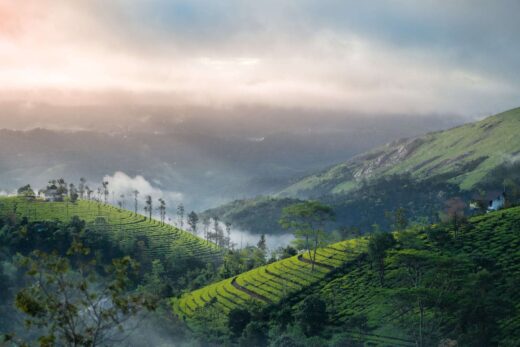 Munnar-Tours